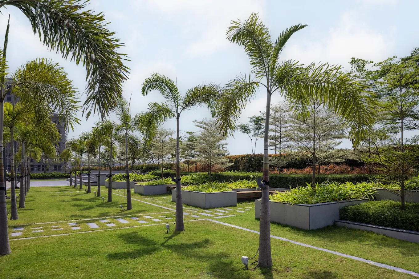 Office Garden & Outdoor Space